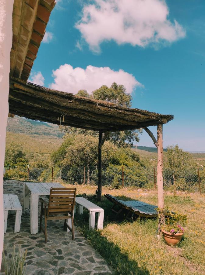 Complejo Rural Del Molino Dorado Villa Facinas Exteriör bild