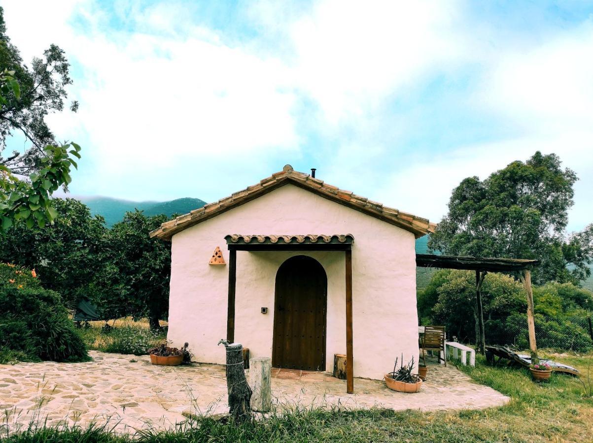 Complejo Rural Del Molino Dorado Villa Facinas Exteriör bild