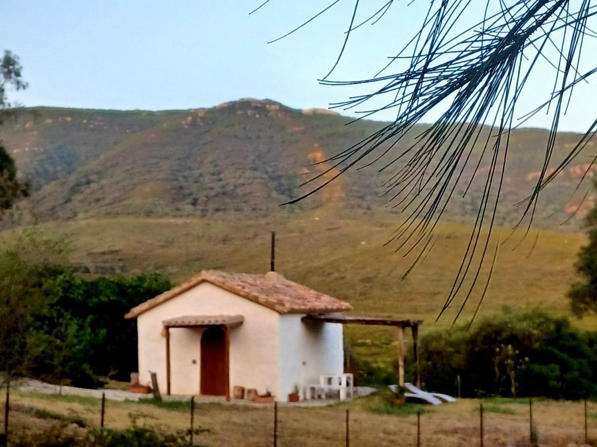 Complejo Rural Del Molino Dorado Villa Facinas Exteriör bild
