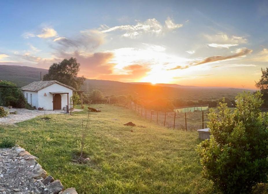 Complejo Rural Del Molino Dorado Villa Facinas Exteriör bild